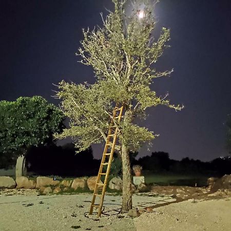 فندق La Casa Bianca مونوبولي المظهر الخارجي الصورة