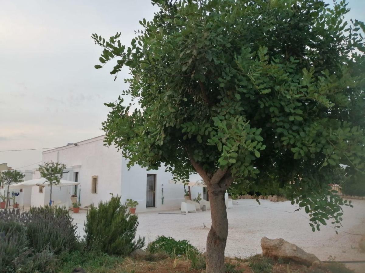فندق La Casa Bianca مونوبولي المظهر الخارجي الصورة