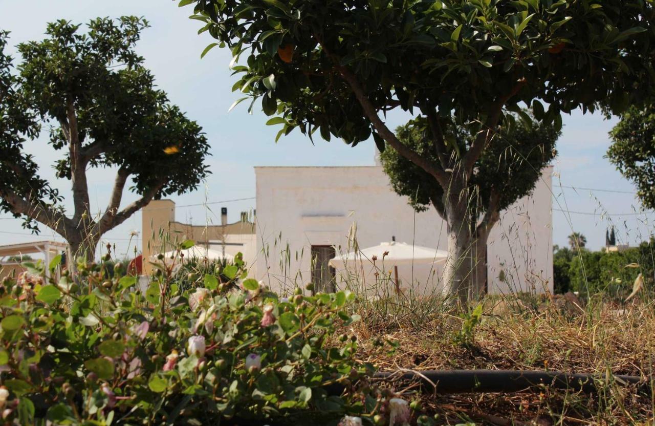 فندق La Casa Bianca مونوبولي المظهر الخارجي الصورة
