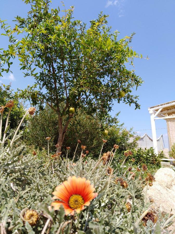 فندق La Casa Bianca مونوبولي المظهر الخارجي الصورة