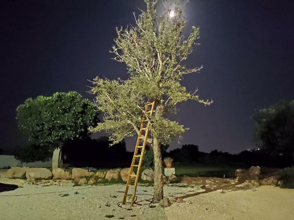فندق La Casa Bianca مونوبولي المظهر الخارجي الصورة
